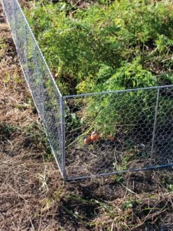Chicken Wire Critter Fence, 16" High -Gardeners Sale Shop 8613249 0358