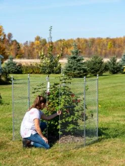 Tall Chicken Wire Critter Fence Extension Panel, Set Of 2 -Gardeners Sale Shop 8613260 0044 1