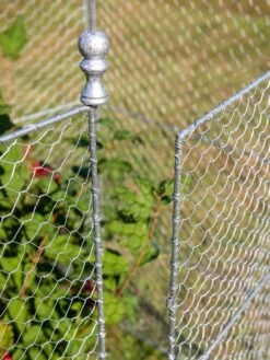Tall Chicken Wire Critter Fence With Gate -Gardeners Sale Shop 8613260 0083
