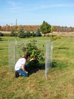 Tall Chicken Wire Critter Fence Extension Panel, Set Of 2 -Gardeners Sale Shop 8613260 0090