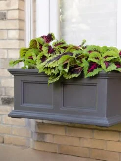 Fairfield Self-Watering Window Box, 2’ -Gardeners Sale Shop 8613268 08V tif
