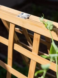 Bambo A Frame Plant Support, 30" X 42.5" -Gardeners Sale Shop 8613310 6525