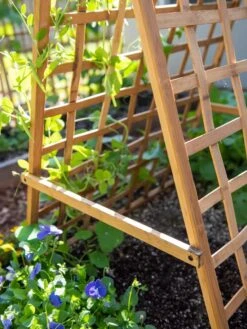 Bambo A Frame Plant Support, 30" X 42.5" -Gardeners Sale Shop 8613310 6556
