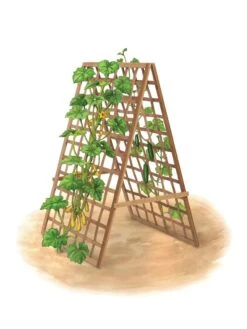 Bambo A Frame Plant Support, 30" X 42.5" -Gardeners Sale Shop 8613310 art flat