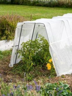 Zenith Garden Hoops, Set Of 4 -Gardeners Sale Shop 8613313 0133 1