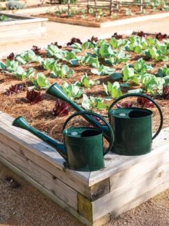 Long Reach Watering Can, Large -Gardeners Sale Shop 8613346 0148 1