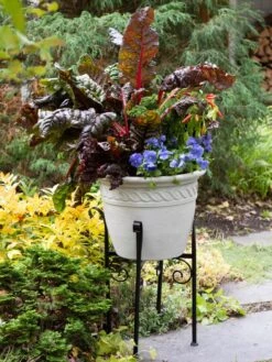 Covington Adjustable Plant Stands -Gardeners Sale Shop 8613348 0114