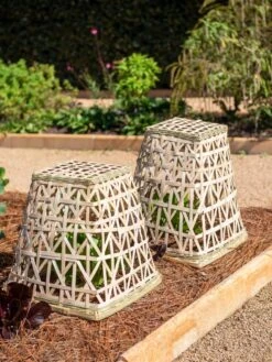 Bamboo Cloche, Set Of 2 -Gardeners Sale Shop 8613351 0150 bamboo cloche set of 2