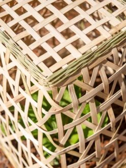 Bamboo Cloche, Set Of 2 -Gardeners Sale Shop 8613351 0154