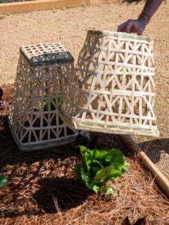 Bamboo Cloche, Set Of 2 -Gardeners Sale Shop 8613351 0157