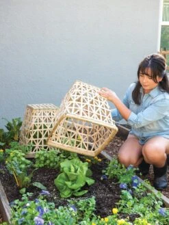 Bamboo Cloche, Set Of 2 -Gardeners Sale Shop 8613351 6862