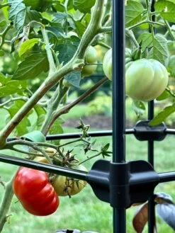 Oasis Self-Watering Tomato Planter With Trellis -Gardeners Sale Shop 8613440 01TEST