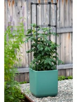 Oasis Self-Watering Tomato Planter With Trellis -Gardeners Sale Shop 8613440 0373 3 4