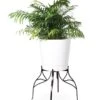 Aubrey Adjustable Plant Stand