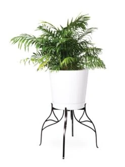 Aubrey Adjustable Plant Stand