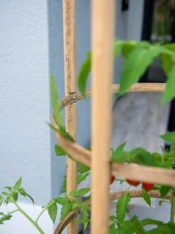 Elevated Bamboo Tomato Planter And Trellis -Gardeners Sale Shop 8613502 0423