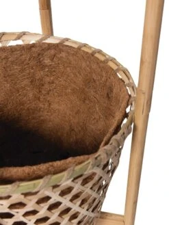 Elevated Bamboo Tomato Planter And Trellis -Gardeners Sale Shop 8613502 4685