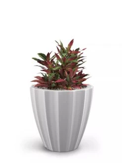 Sedona Round Planter, 18" Diameter -Gardeners Sale Shop 8613526 05V