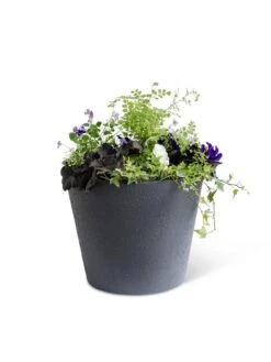 Self-Watering FiberStone Planters -Gardeners Sale Shop 8613676 8645