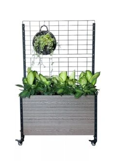 Mobile Deep Trough Planter With Trellis -Gardeners Sale Shop 8614265 03V