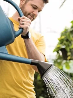 French Blue Watering Can -Gardeners Sale Shop ChrisAhrensSquare 0118 tif