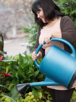 French Blue Watering Can -Gardeners Sale Shop EmilyHoangSquare 0151 tif