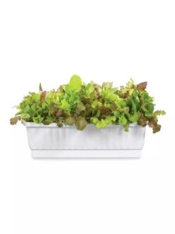 31" Self-Watering Window Box -Gardeners Sale Shop GS36523 01Z 3 4