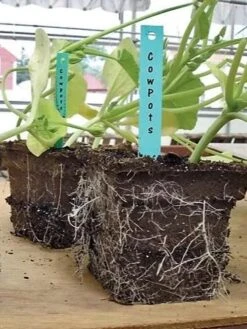 2-3/4" Square Cowpots 6-Packs, Set Of 4 5 2-3/4" Square Cowpots 6-Packs, Set Of 4 -Gardeners Sale Shop GS37034 05