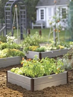 Sustainable Raised Beds