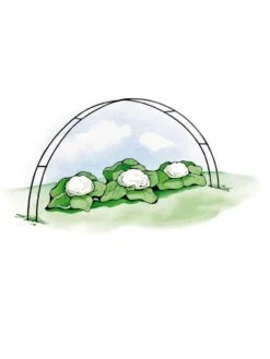 Super Hoops, Set Of 6 -Gardeners Sale Shop GS39423 02S 3 4