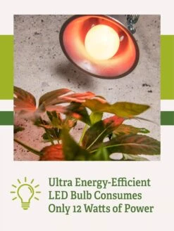 Miracle LED® Absolute Daylight™ Max Flowering Grow Light Bulb 9 Miracle LED® Absolute Daylight™ Max Flowering Grow Light Bulb -Gardeners Sale Shop Miracle Daylight Bulb 2