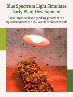 Miracle LED® Absolute Daylight™ Max Flowering Grow Light Bulb 11 Miracle LED® Absolute Daylight™ Max Flowering Grow Light Bulb -Gardeners Sale Shop Miracle Daylight Bulb 4