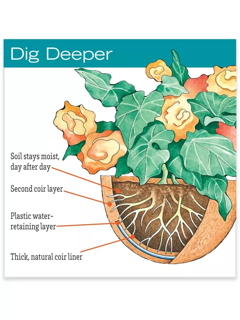 AquaSav™ Oxford Hanging Basket, 14" 2 AquaSav™ Oxford Hanging Basket, 14" - Image 2