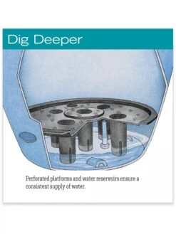 Viva Round Self-Watering Rolling Planter, 14" Diameter -Gardeners Sale Shop hiw 39 326 jpg