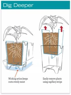 Stoneware Self-Watering Windowsill Planters, Set Of 2 -Gardeners Sale Shop hiw 8593943 jpg
